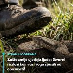 Zašto zmije ujedaju ljude: Stvarni razlozi koji vas mogu spasiti od opasnosti!