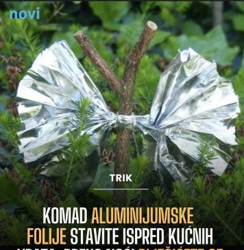 Komad aluminijumske folije stavite ispred kućnih vrata: Preko noći riješićete se velikog problema