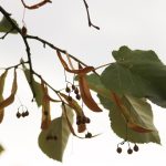 Još dva-tri dana Miholjskog ljeta pa preokret: Meteorolozi upozoravaju na ovaj datum FOTO