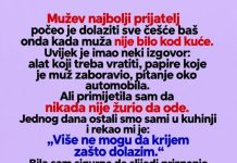Suprugov najbolji prijatelj pokazao joj je snimke koje nije očekivala: Jedan detalj otkrio je da dvostruki život traje mjesecima