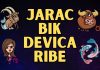 Jarac, bik, devica, ribe: ako si rodjen u ovim znacima pročitaj ovaj tekst, saznaćeš nešto veoma bitno!