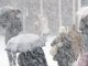 STlŽE LEDENl P0LARNl TALAS, TEMPERATURA PADA I D0 -40! Ovu evropsku zemlju čeka SlBlRSKA ZIMA….